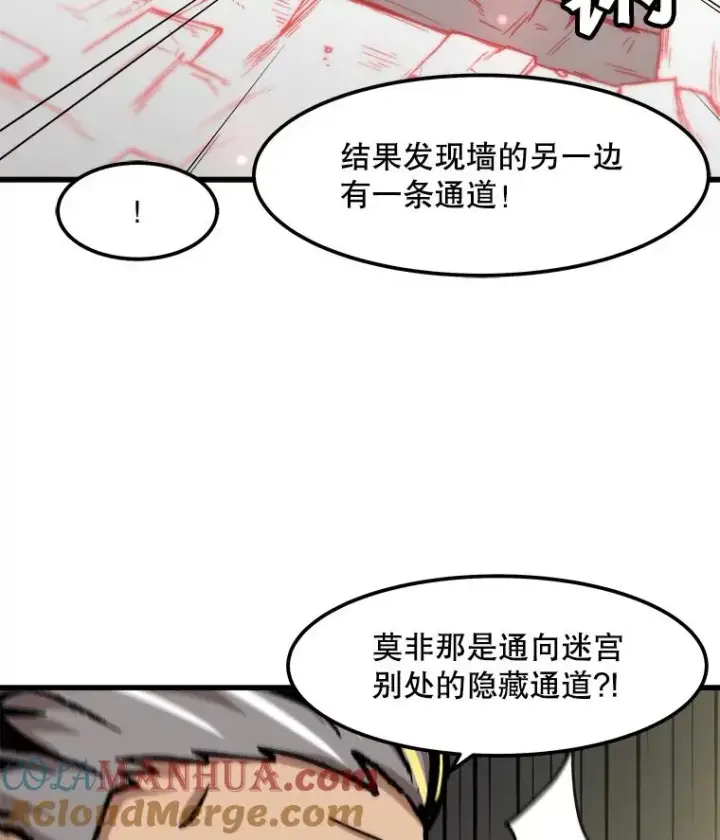 《孤雄升级》105.隐藏信道图22