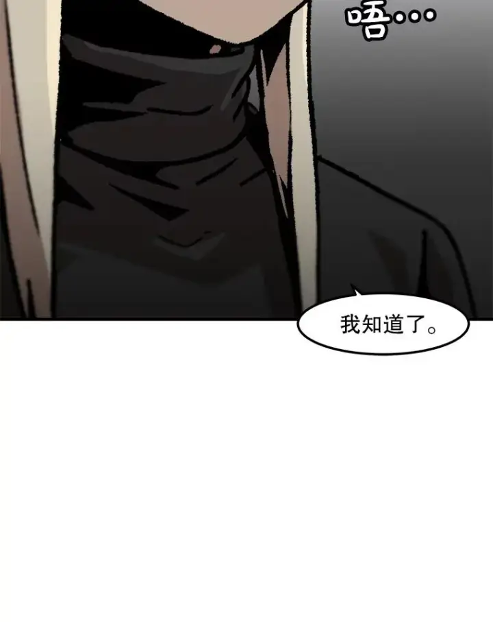 《孤雄升级》138.分组作战图48