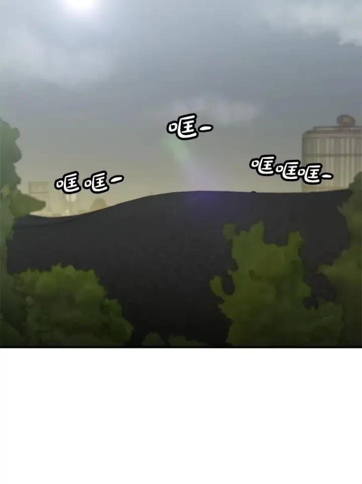 《孤雄升级》140.天寿的本体图2