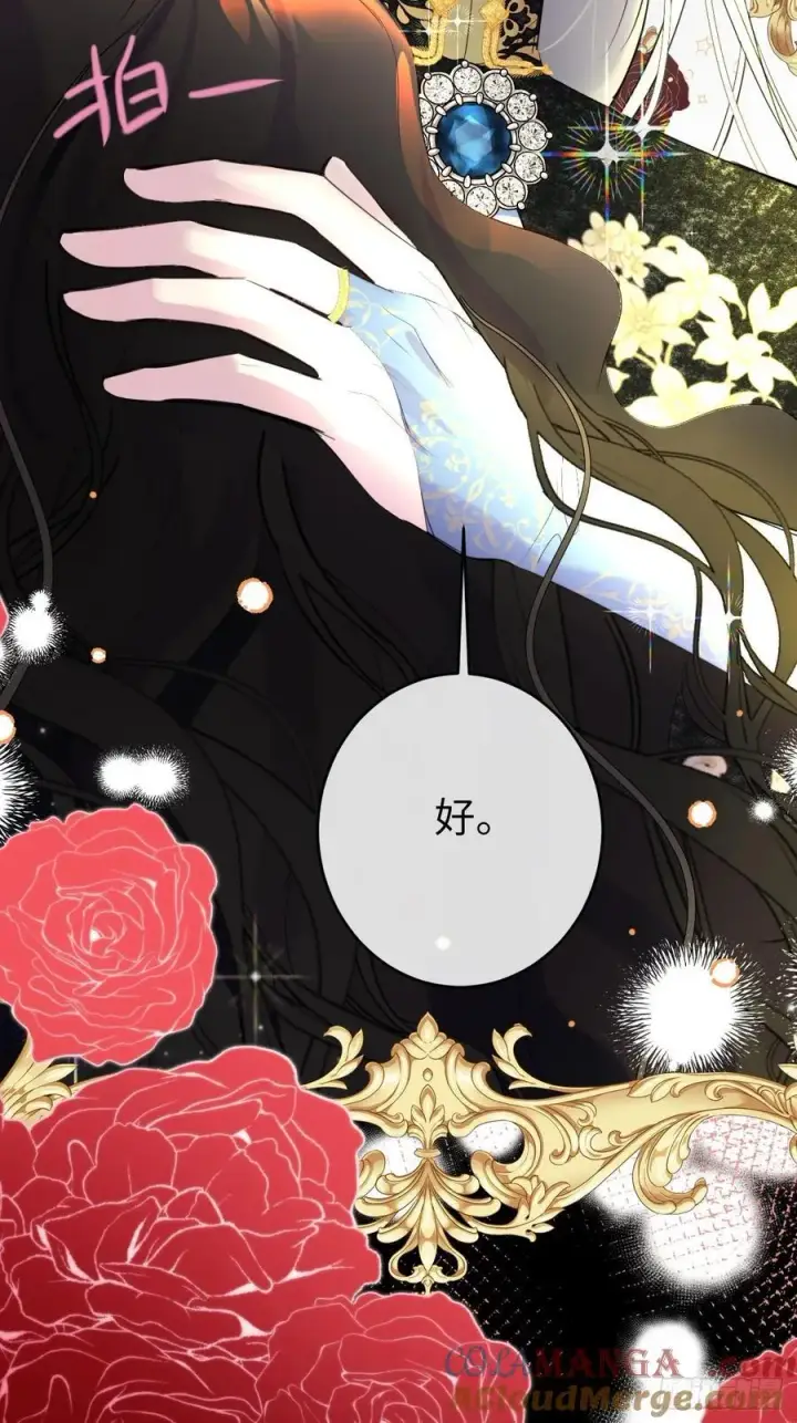 《黑化魔女只好成为反派了》13图37