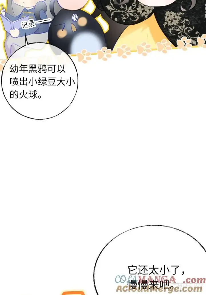《黑化魔女只好成为反派了》14图34
