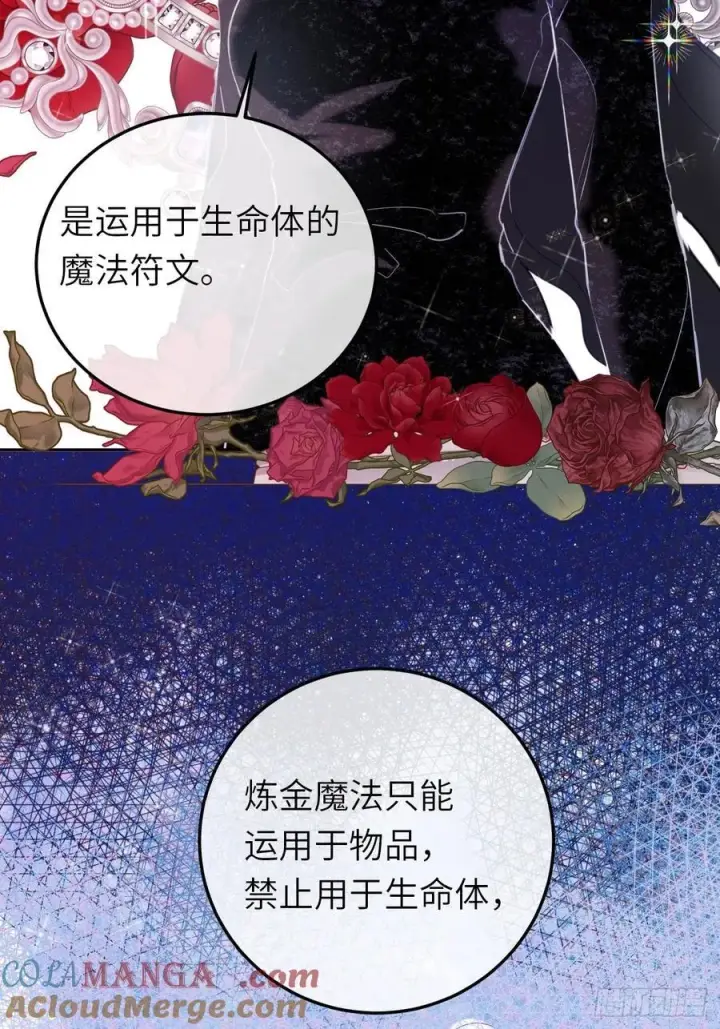 《黑化魔女只好成为反派了》17图7