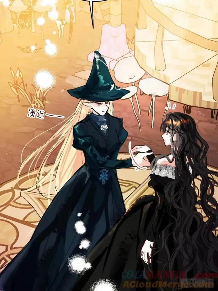 《黑化魔女只好成为反派了》40图13