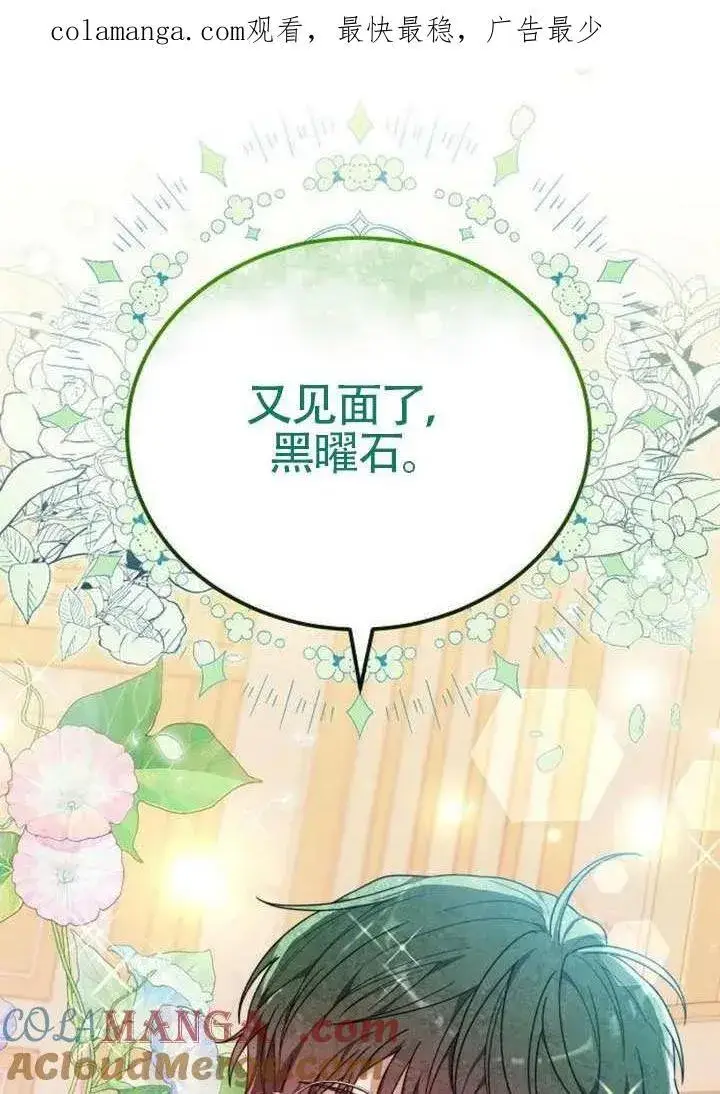 《黑曜石的新娘》第81话图196