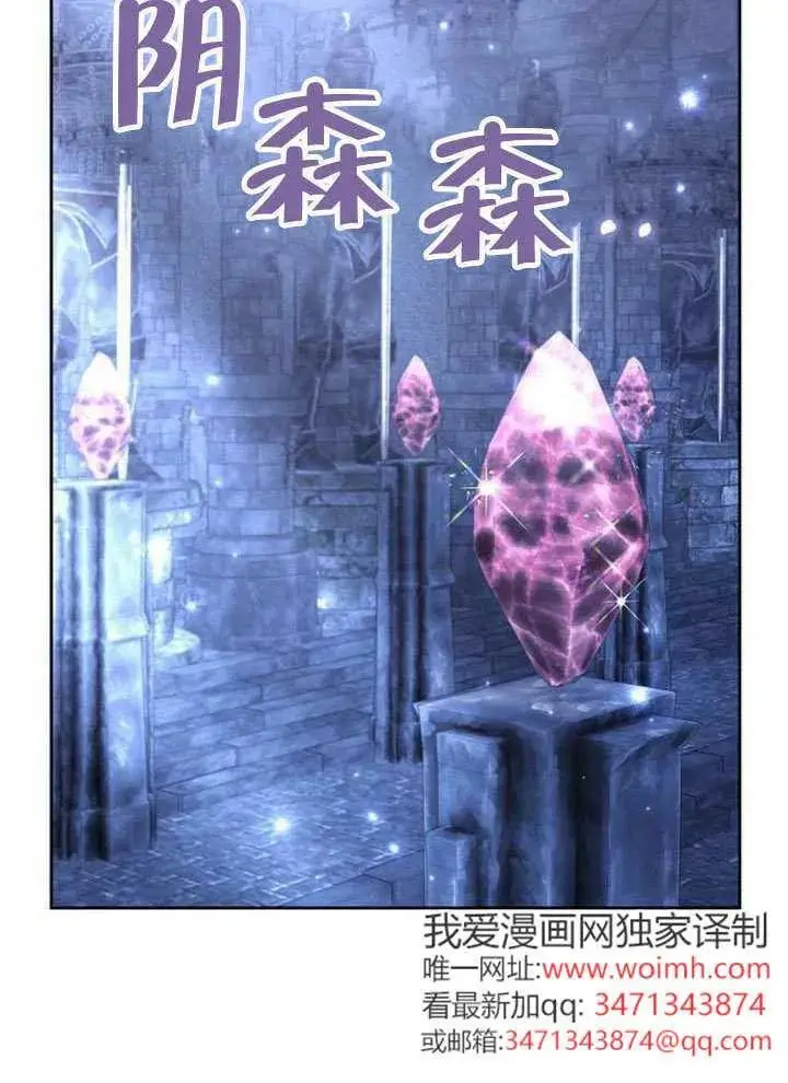 《黑曜石的新娘》第99话图118