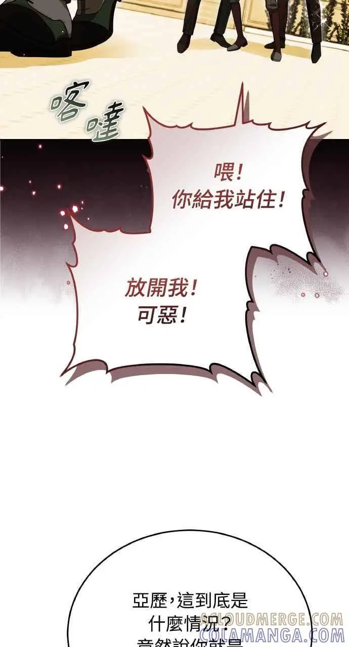 《黑曜石的新娘》第101话图29