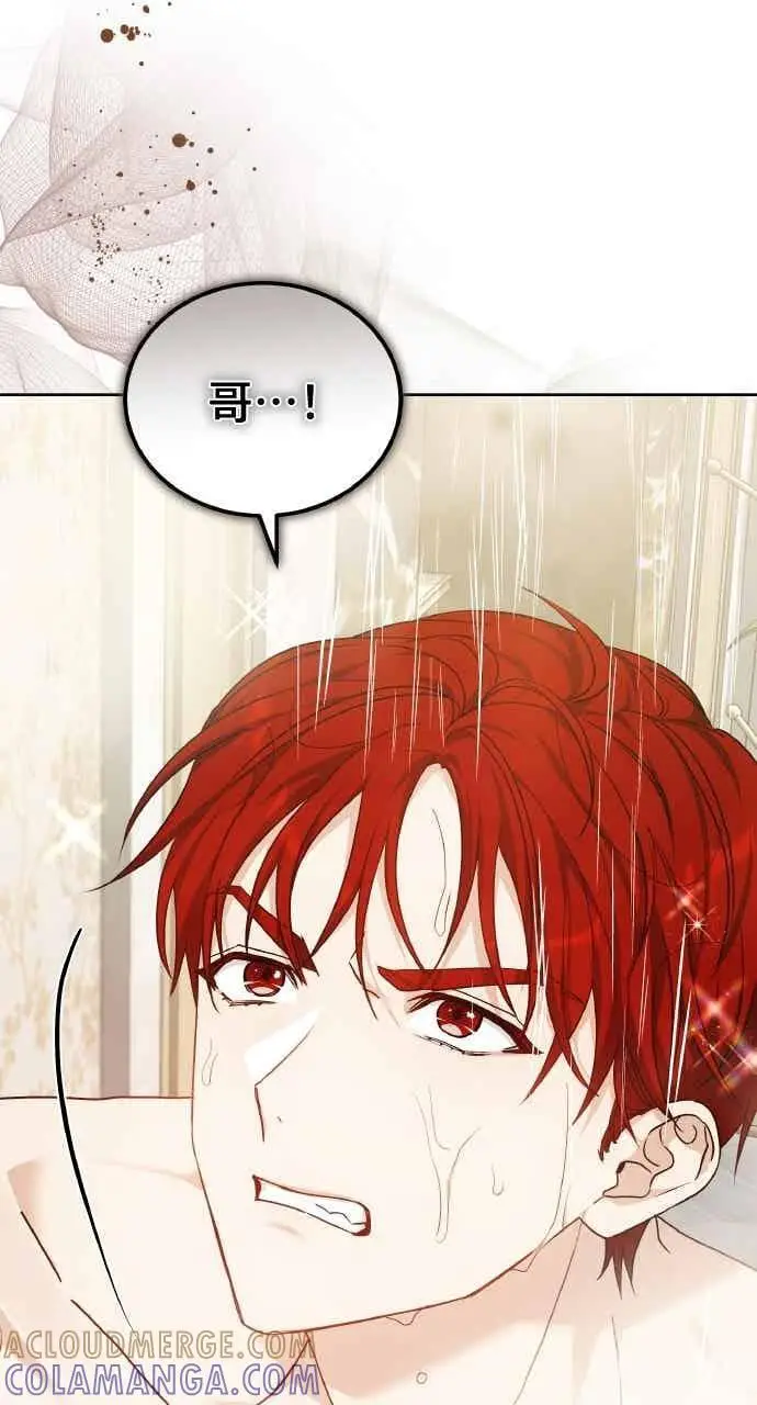 《黑曜石的新娘》第105话图17