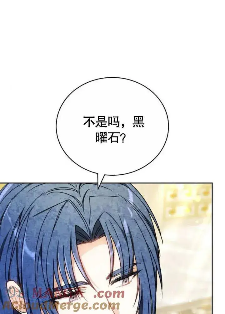 《黑曜石的新娘》第46话图133