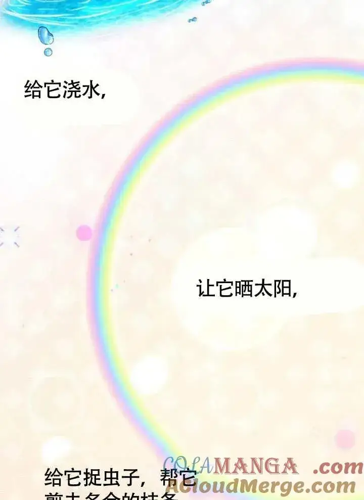 《黑曜石的新娘》第63话图89