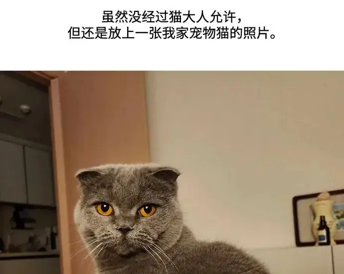 《恨不得吃掉妳》【免费】后记图47
