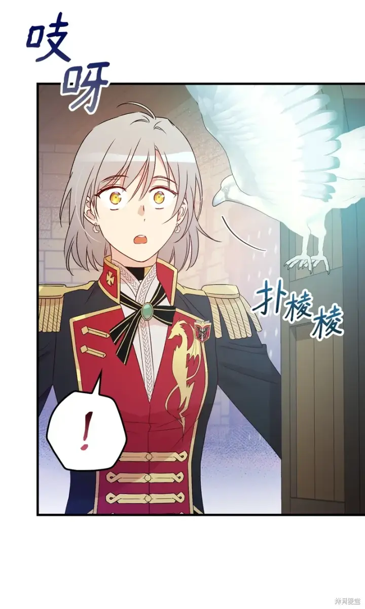 《红骑士绝不追求不劳而获的金钱》第97话图36