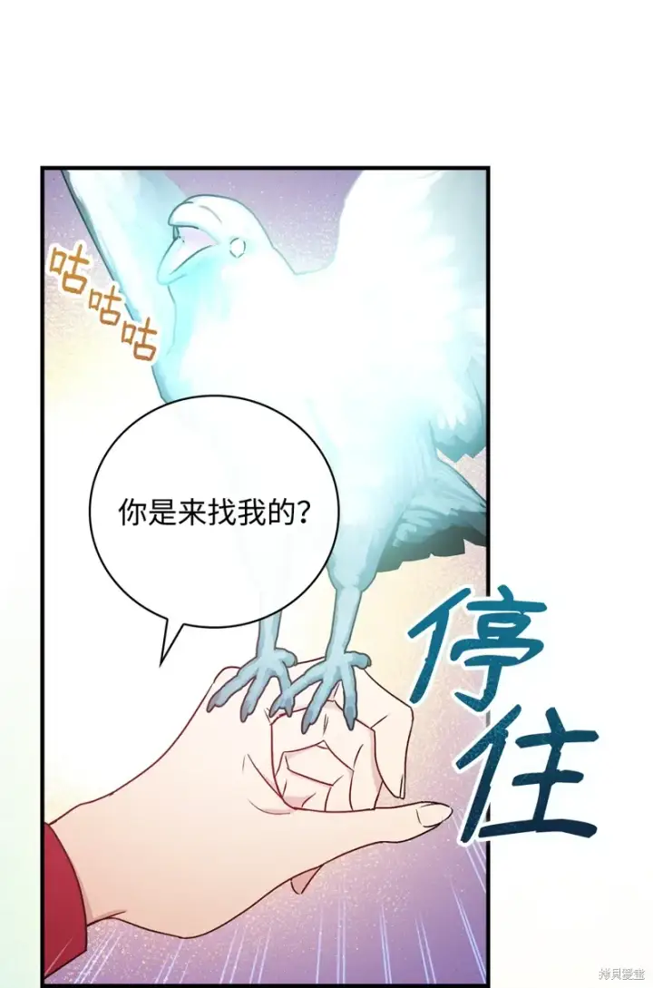 《红骑士绝不追求不劳而获的金钱》第97话图37