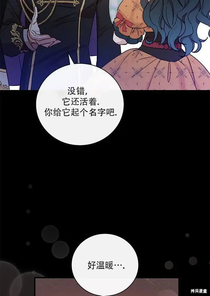 《红骑士绝不追求不劳而获的金钱》第41话图83