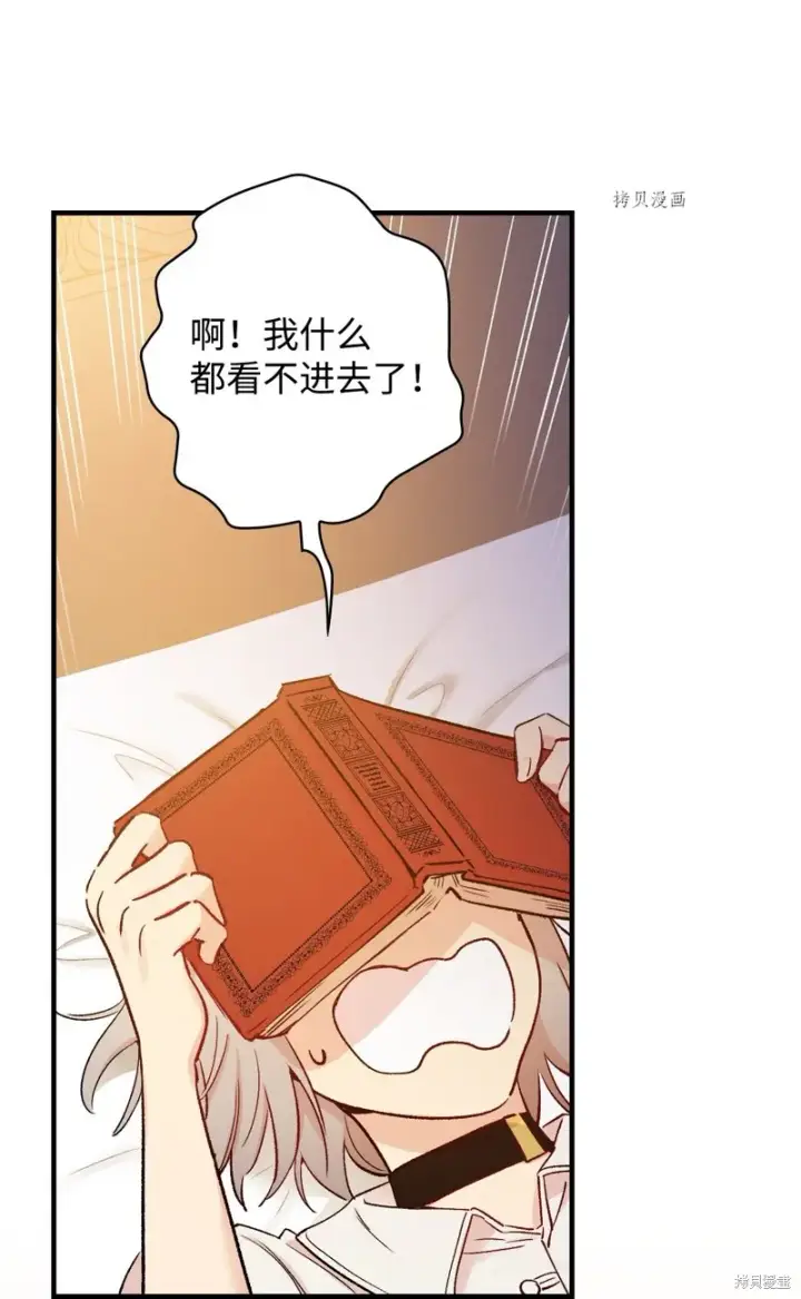 《红骑士绝不追求不劳而获的金钱》第50话图33
