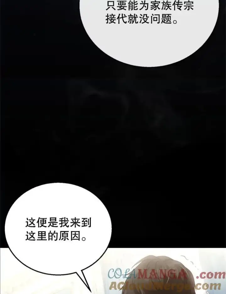 《怀了恶棍的孩子》8.里哈特的身世图117