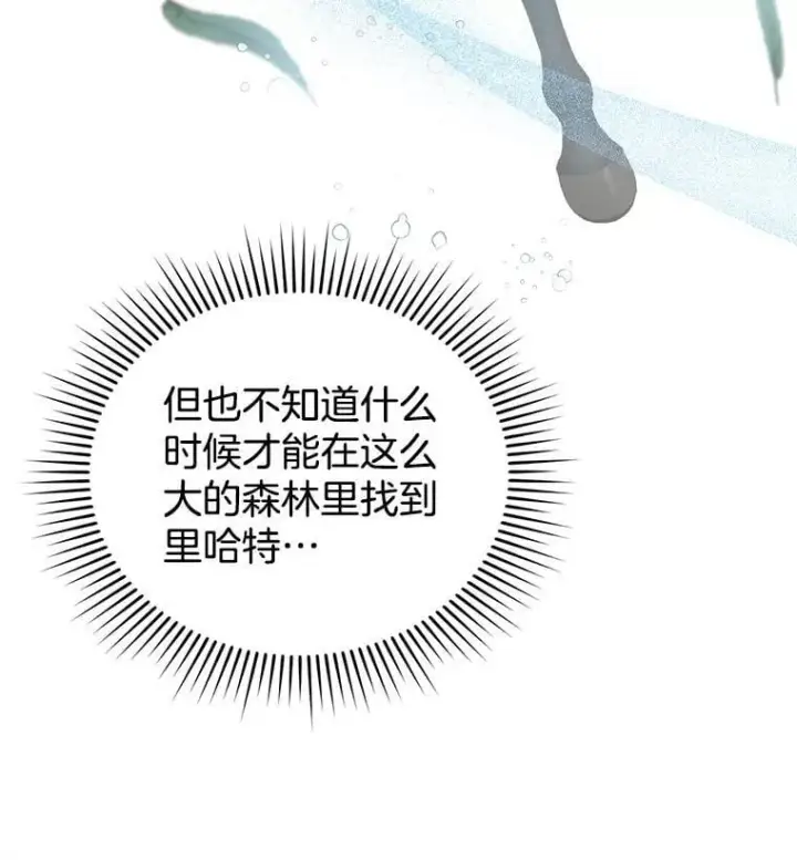 《怀了恶棍的孩子》8.里哈特的身世图24