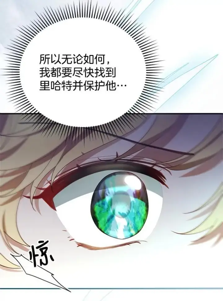 《怀了恶棍的孩子》8.里哈特的身世图27
