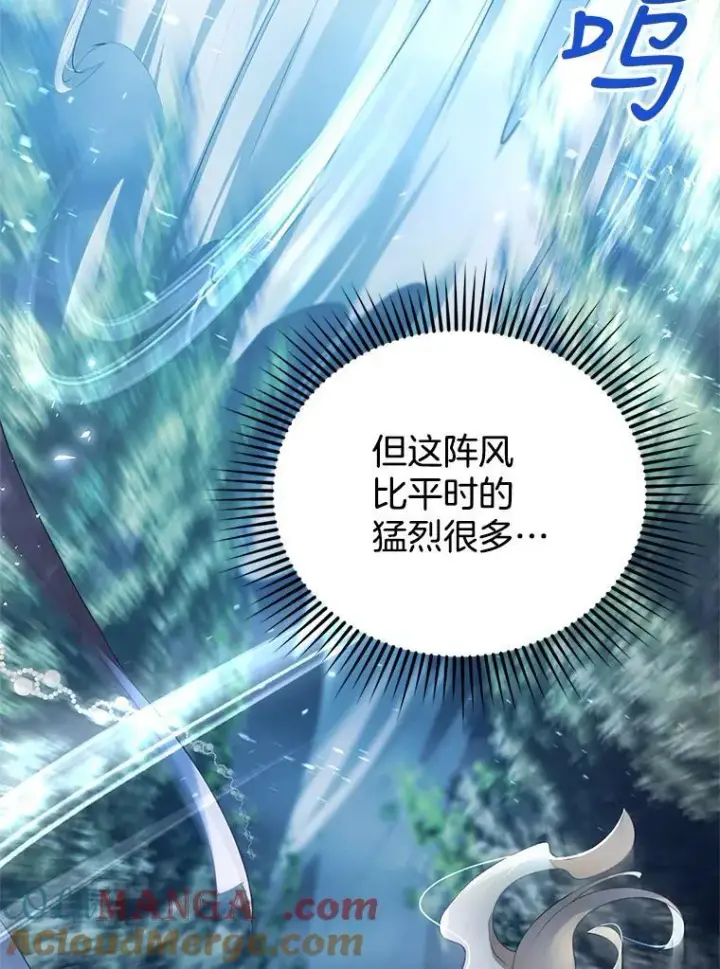 《怀了恶棍的孩子》8.里哈特的身世图29