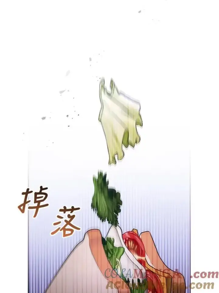 《怀了恶棍的孩子》34.回家图101