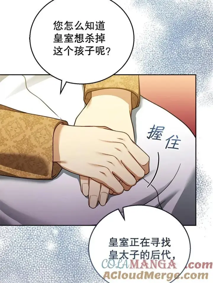 《怀了恶棍的孩子》44.保护利昂图113
