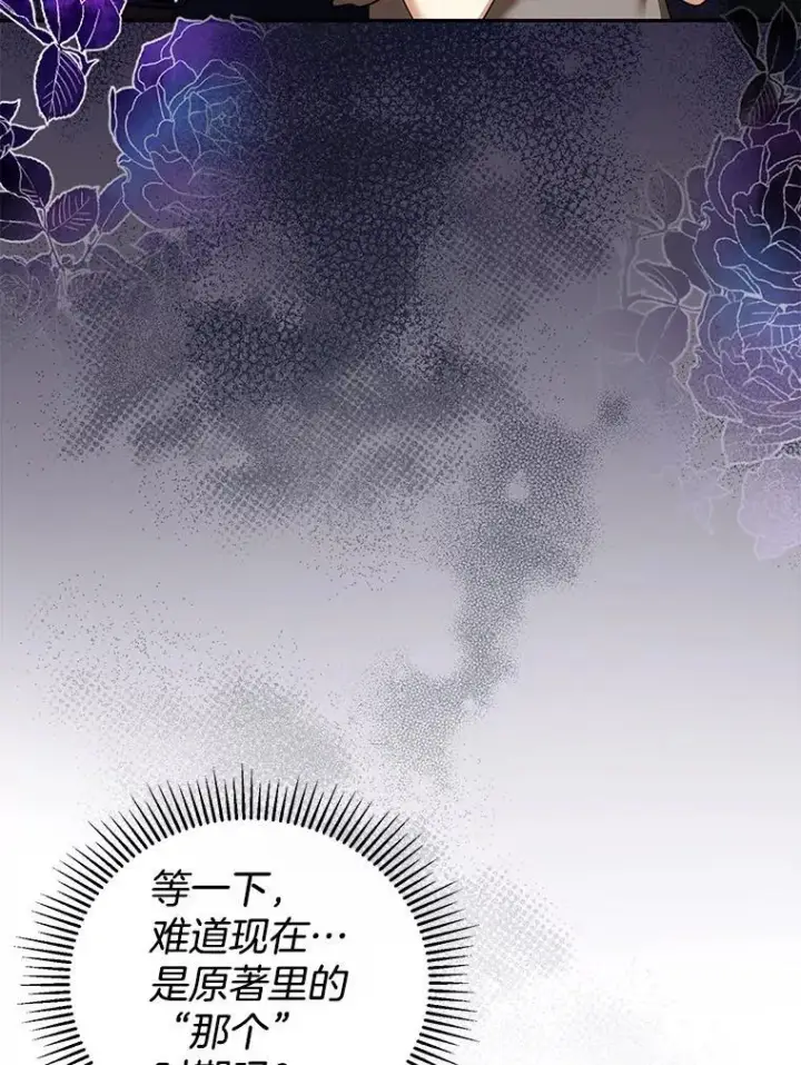 《怀了恶棍的孩子》44.保护利昂图63