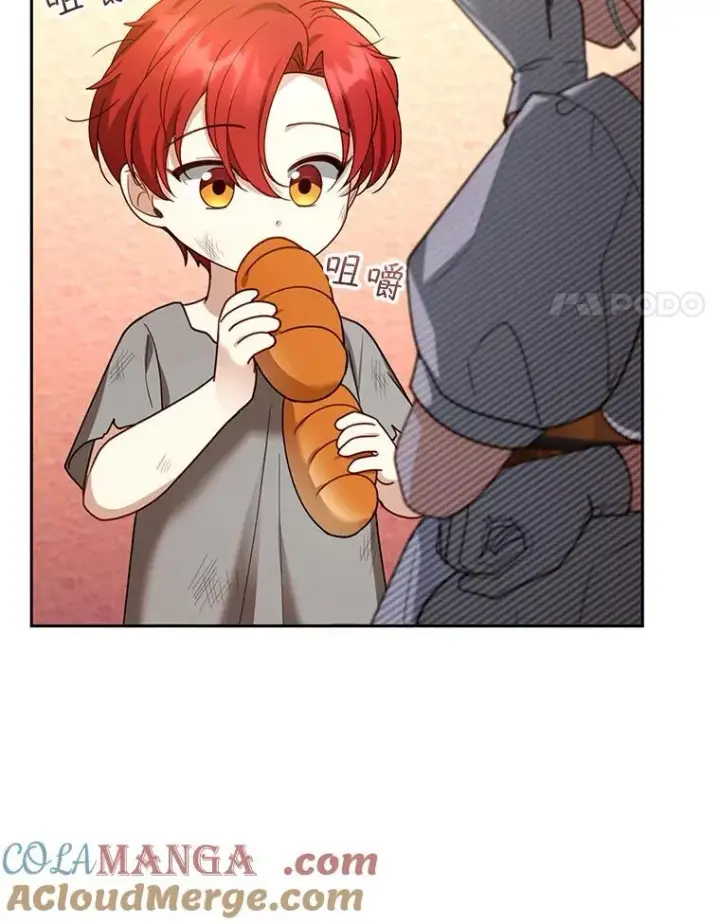 《怀了恶棍的孩子》44.保护利昂图77
