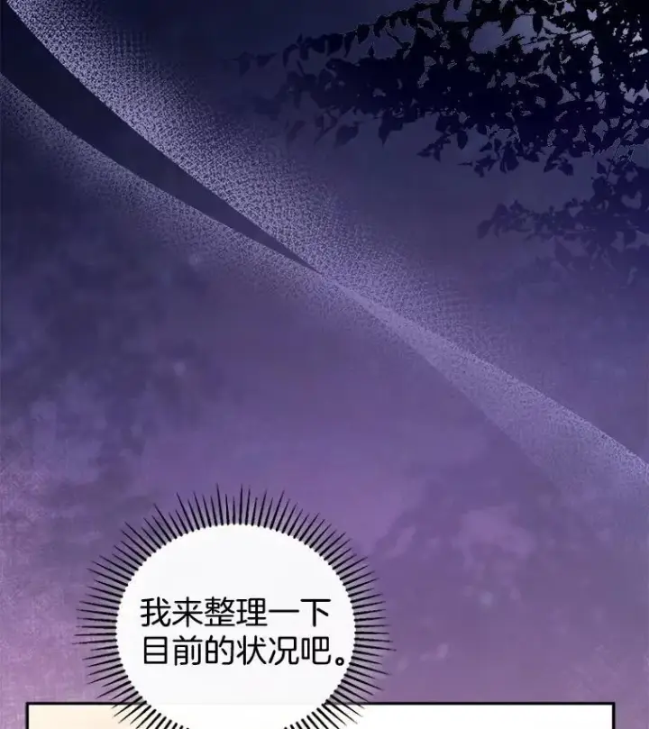 《怀了恶棍的孩子》45.佣兵公会图27