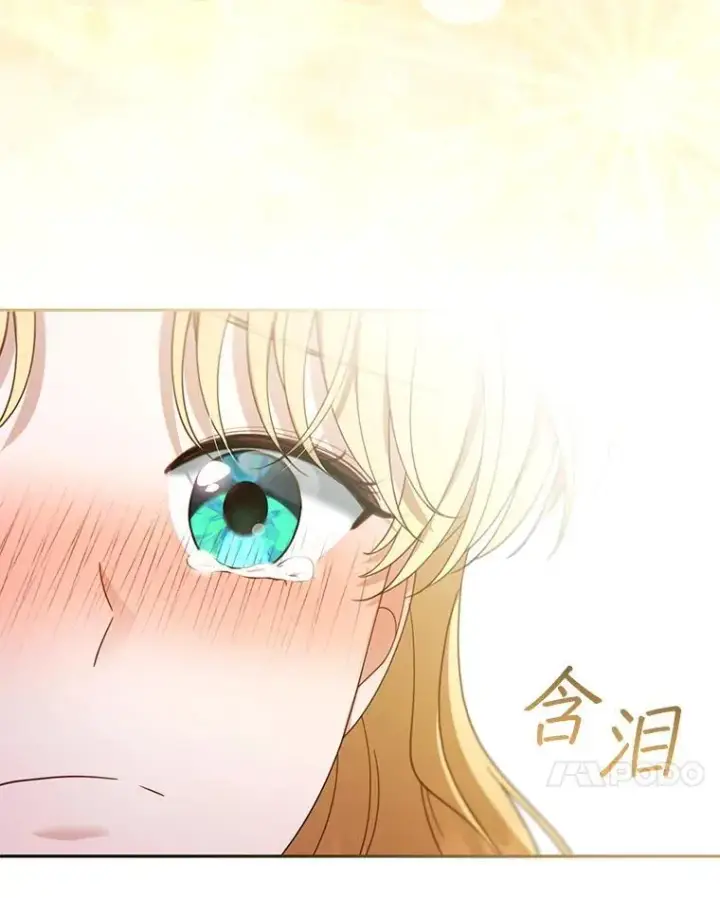 《怀了恶棍的孩子》51.互诉衷肠图67