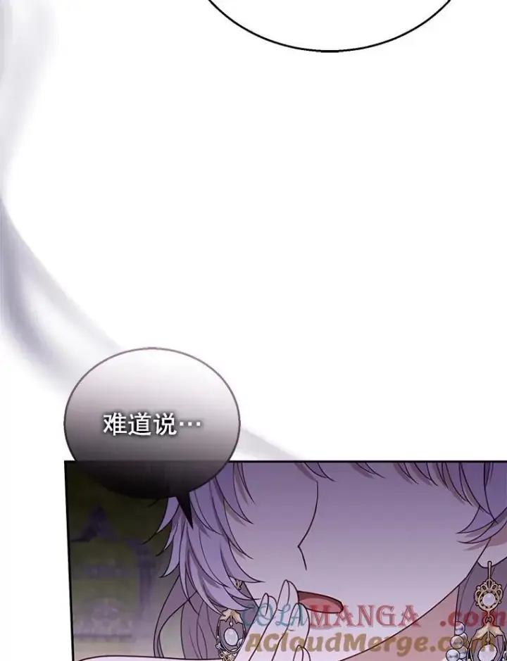 《怀了恶棍的孩子》52.将计就计图29