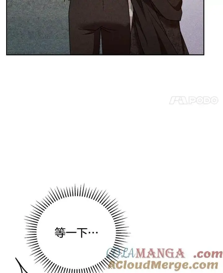 《怀了恶棍的孩子》54.父子相见图101