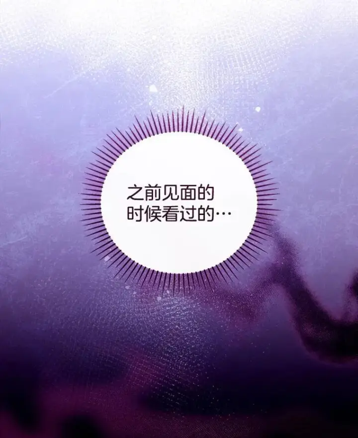 《怀了恶棍的孩子》54.父子相见图103