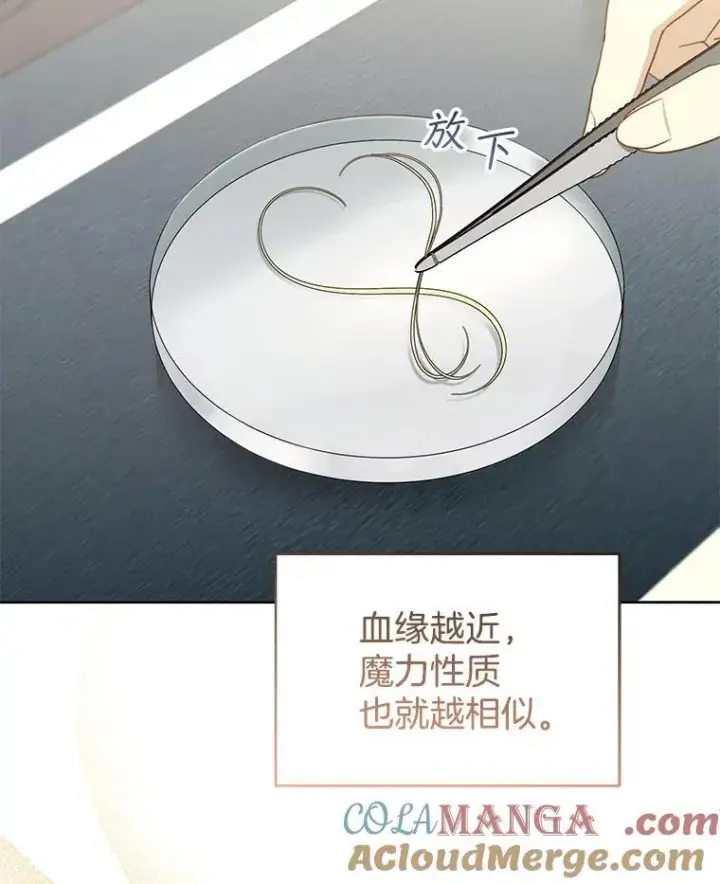 《怀了恶棍的孩子》59.亲子鉴定图93