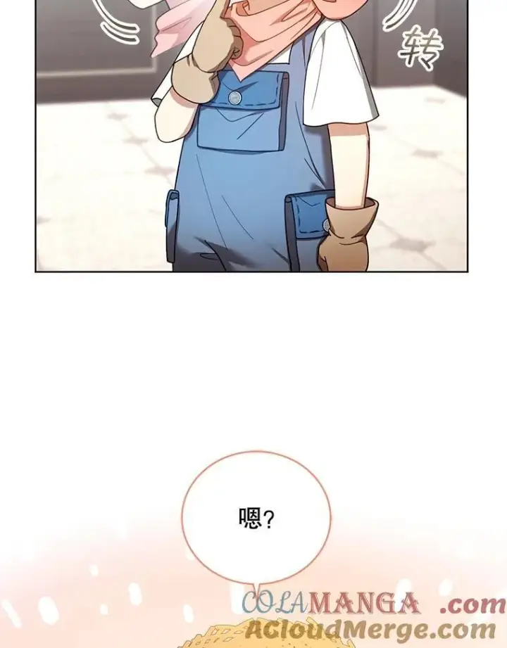 《怀了恶棍的孩子》62.奇怪的书图109