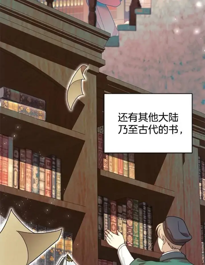 《怀了恶棍的孩子》62.奇怪的书图11