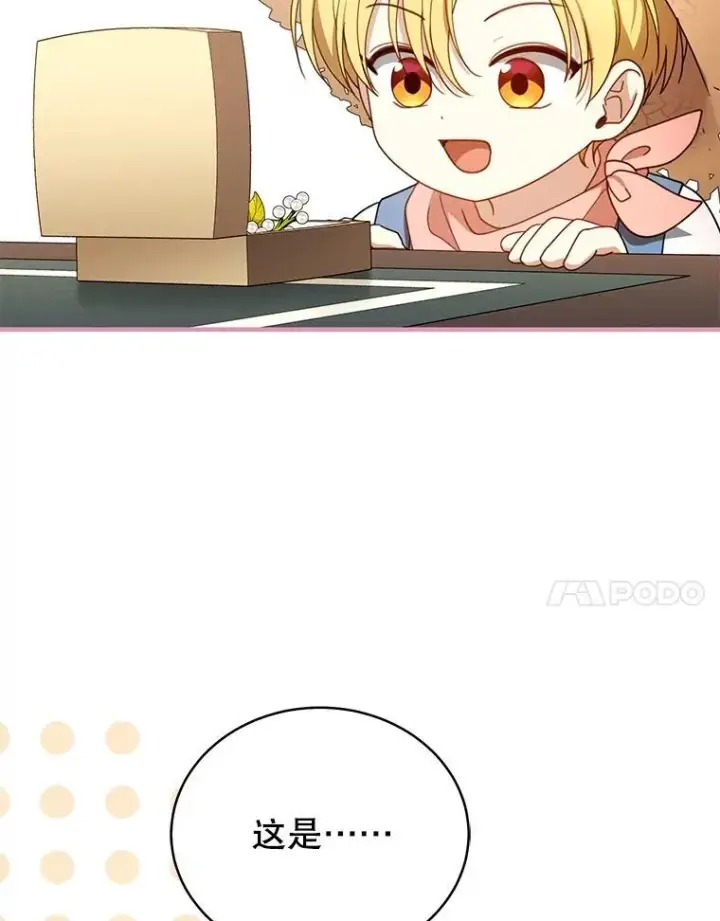 《怀了恶棍的孩子》62.奇怪的书图114