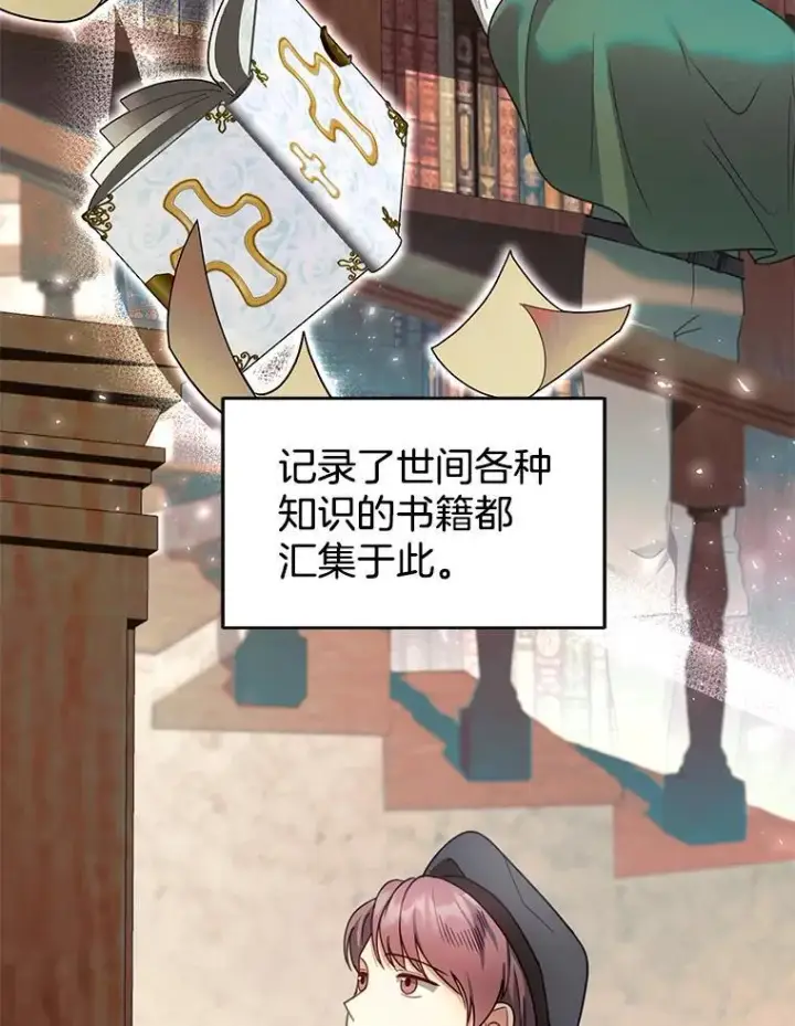 《怀了恶棍的孩子》62.奇怪的书图12
