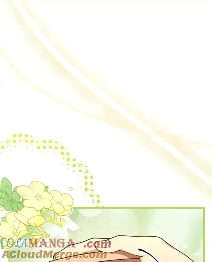 《怀了恶棍的孩子》62.奇怪的书图93