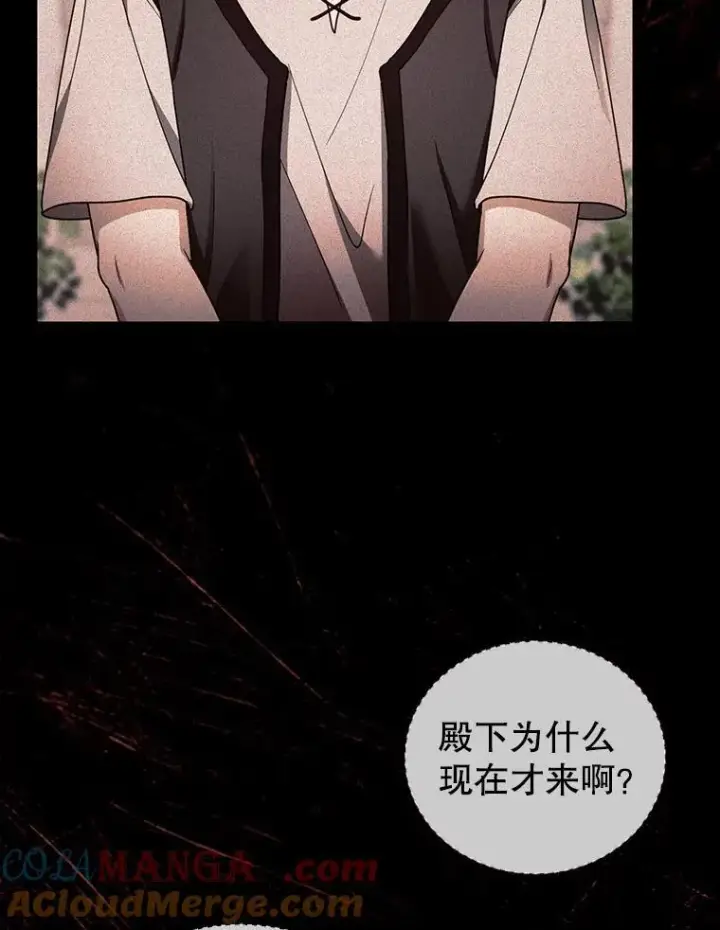 《怀了恶棍的孩子》63.嫉妒图97
