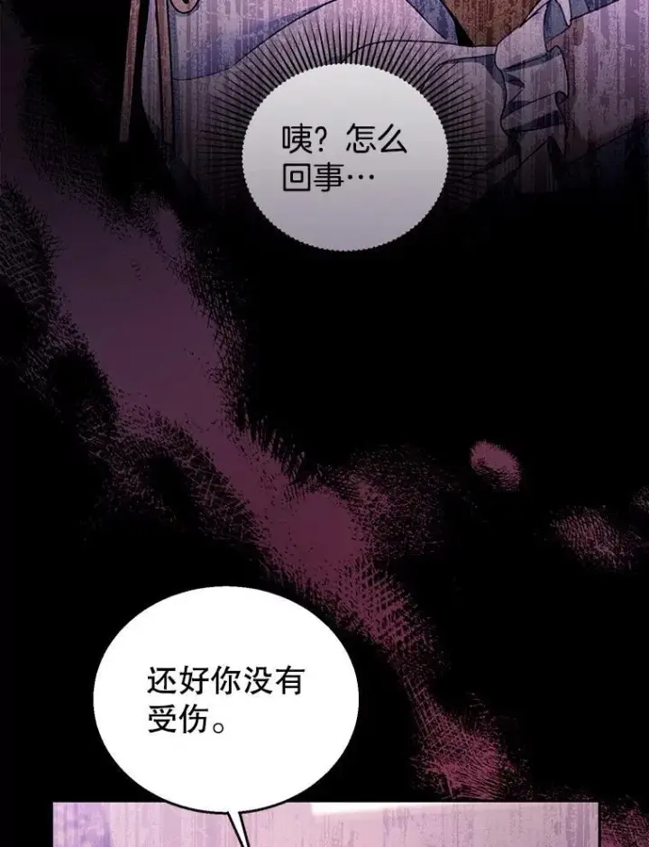 《怀了恶棍的孩子》64.遇到流氓图40