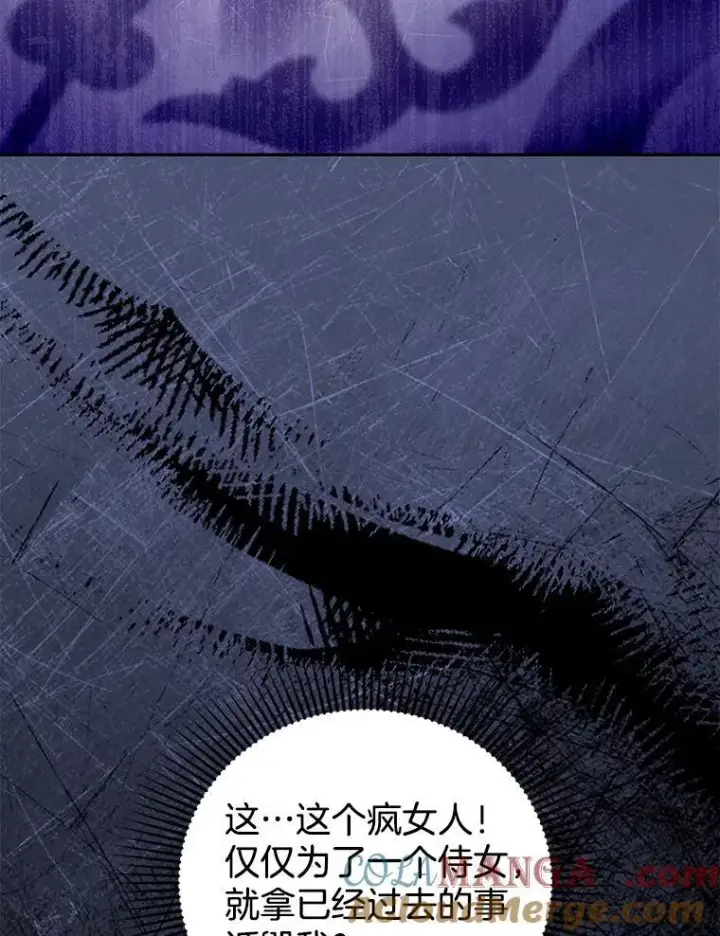 《怀了恶棍的孩子》68.诞辰宴会图49