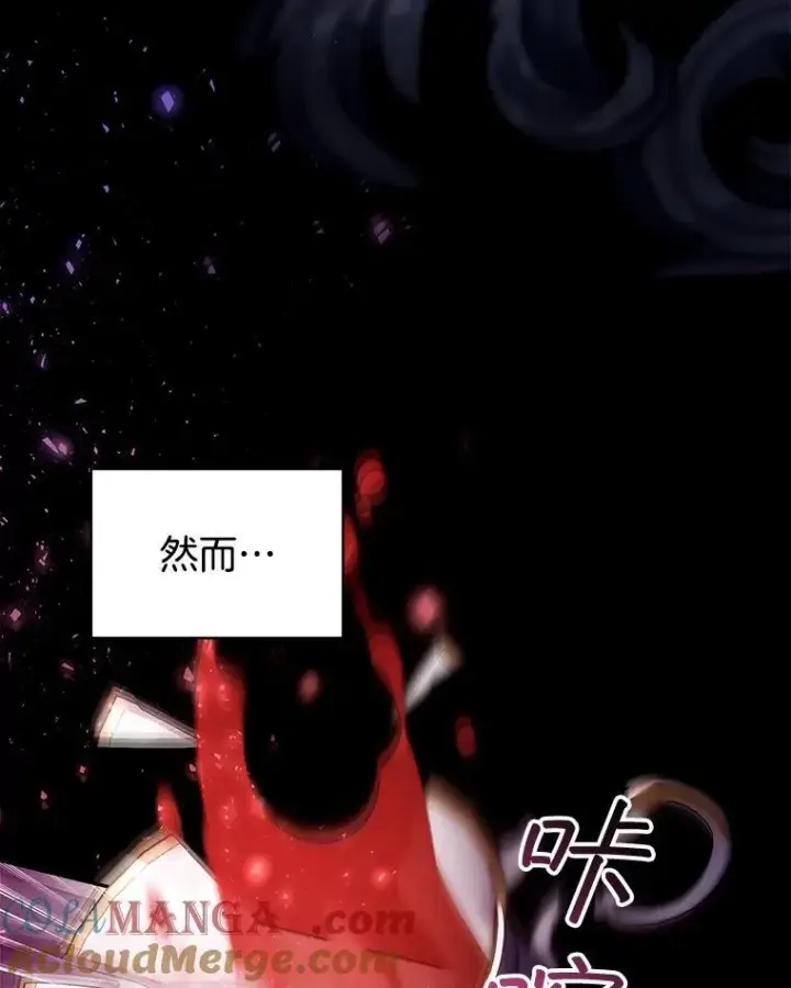 《怀了恶棍的孩子》70.新继承人图49