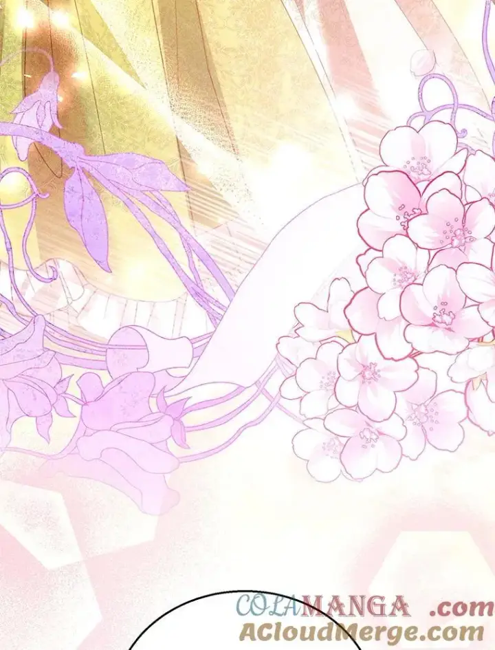 《怀了恶棍的孩子》70.新继承人图93