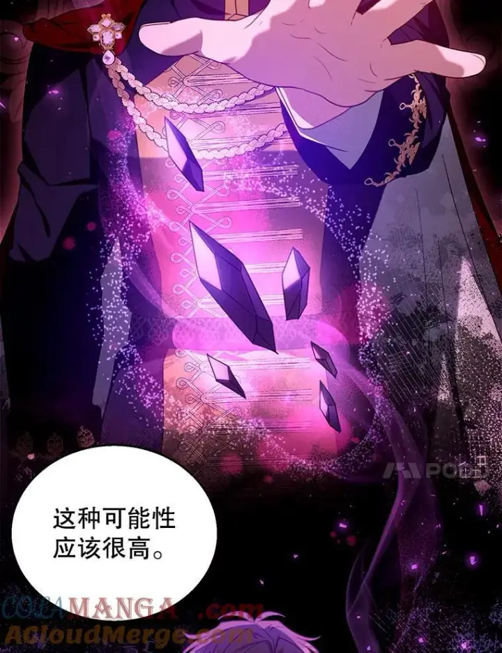 《怀了恶棍的孩子》74.力量之谜图41
