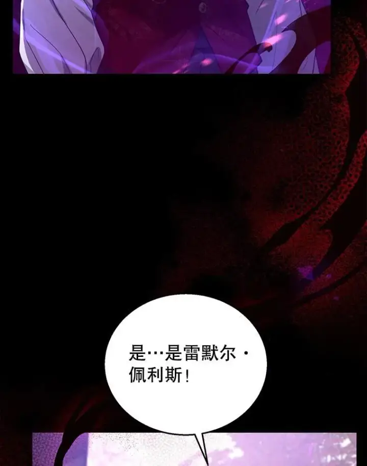 《怀了恶棍的孩子》74.力量之谜图6