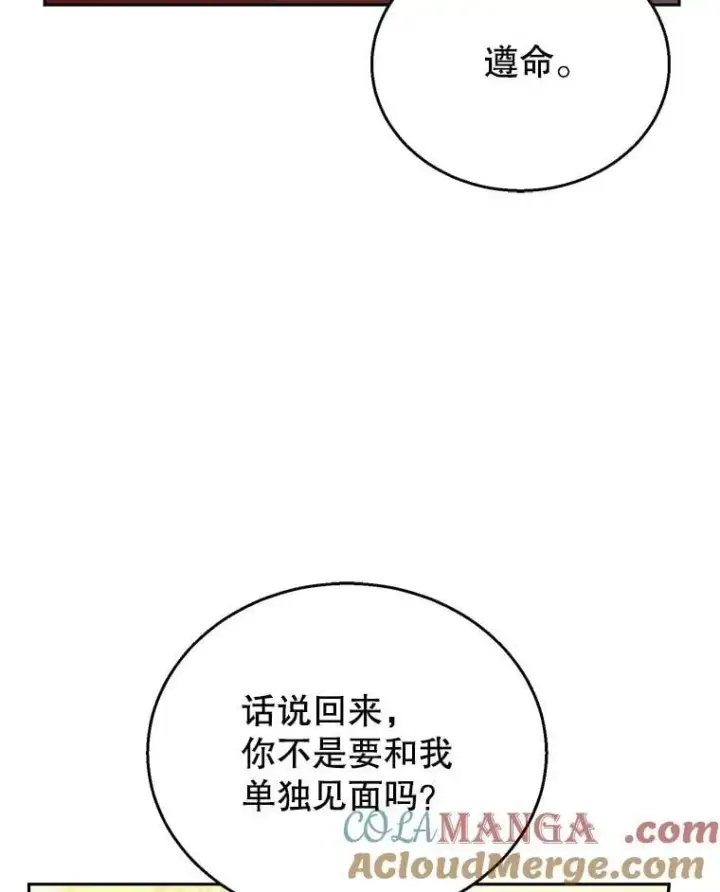《怀了恶棍的孩子》79.单独觐见图21