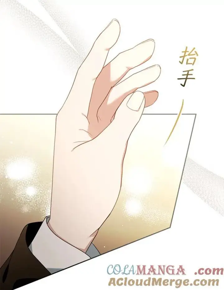 《怀了恶棍的孩子》79.单独觐见图89