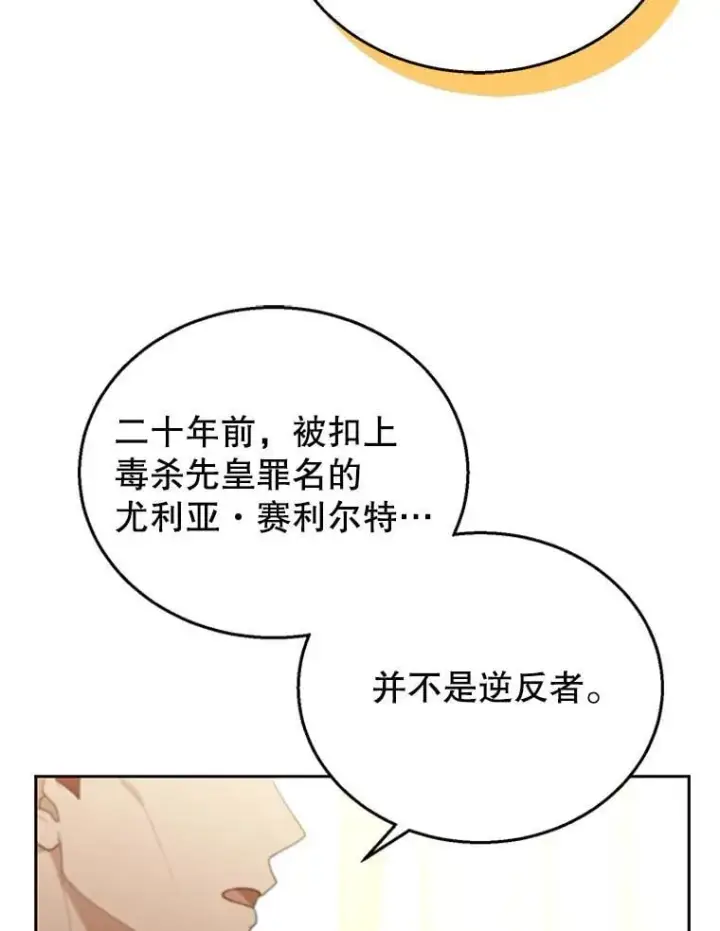 《怀了恶棍的孩子》79.单独觐见图92