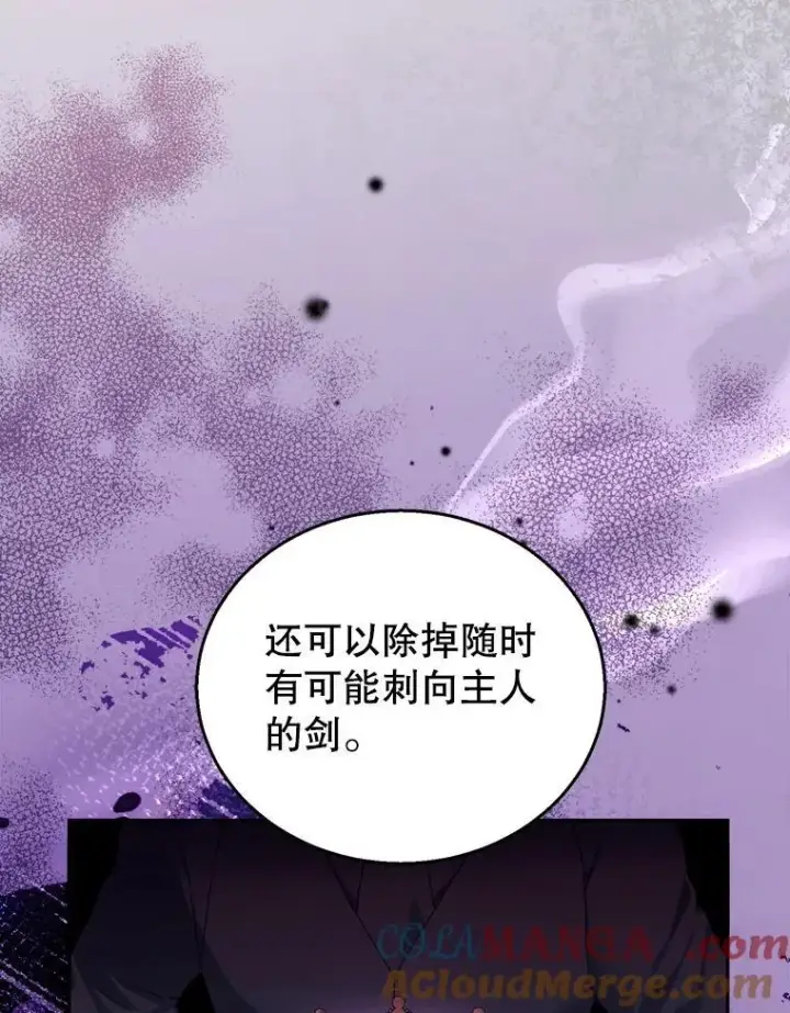 《怀了恶棍的孩子》80.侍女蕾娜图61