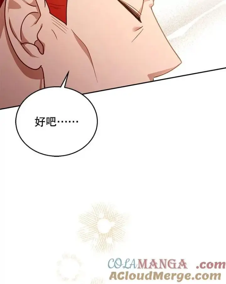 《怀了恶棍的孩子》80.侍女蕾娜图65