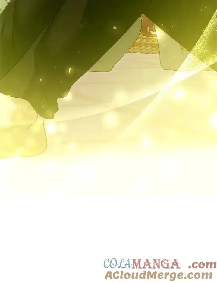 《怀了恶棍的孩子》102.扭转命运图137